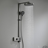 Ensemble de douche mural en laiton à poignée unique avec mitigeur à cartouche céramique, finition brossée, pour usage hôtelier, avec barre de douche coulissante et pommeau de douche