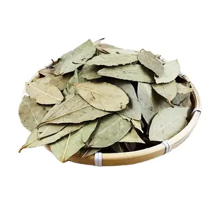 Yue Gui Factory Supply High Quality Chinese Dried Laurel Leaf Bay Leaves