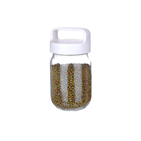 Bocaux Mason à bouche régulière transparents personnalisés de haute qualité avec couvercle à poignée 380ml