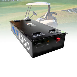 Lange Levensduur Golfkar Lithiumbatterij 48 Volt 50ah 100ah 200ah 300ah 400ah Batterij Golfkar Batterijen - Product Image 1
