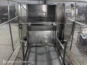 स्वचालित स्टेनलेस स्टील मीट ट्रॉली बुगी वॉशर यूरो शैली सफाई उपकरण वाशिंग मशीन - Product Image 4