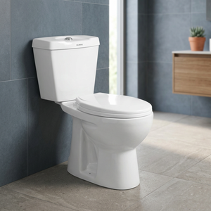 Washdown WC Commode Slow Down Seat Cover Low Price Modern Ceramic Porcelain Two Piece Water Closet - Product Image 6