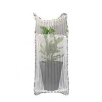 Emballage de protection de transport transparent personnalisé sacs à colonne d'air à coussin gonflable pour fleurs plantes en pot
