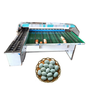 Egg Weight Grading Machine Egg Cleaning Grading Machine New Price Automatic Egg Grader - Product Image 4