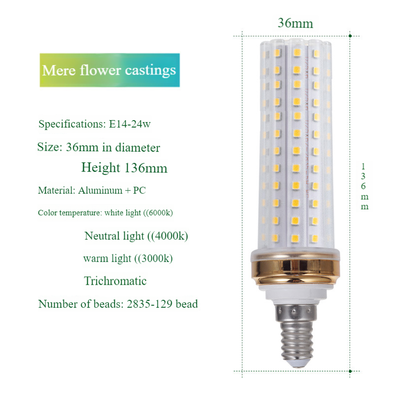 E14-24W d'or