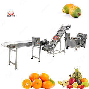 Máquina clasificadora de lavado de frutas y verduras con sistemas de detección de rayos X Lavadora eléctrica de frutas por lotes - Product Image 2