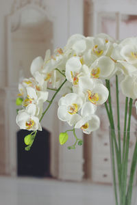 Другие декоративные цветы и растения, Искусственные белые орхидеи, декоративные цветы, орхидеи, растения для продажи - Product Image 6