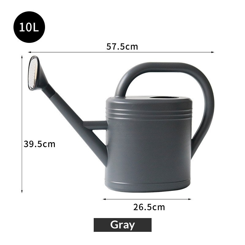 10L - Gris