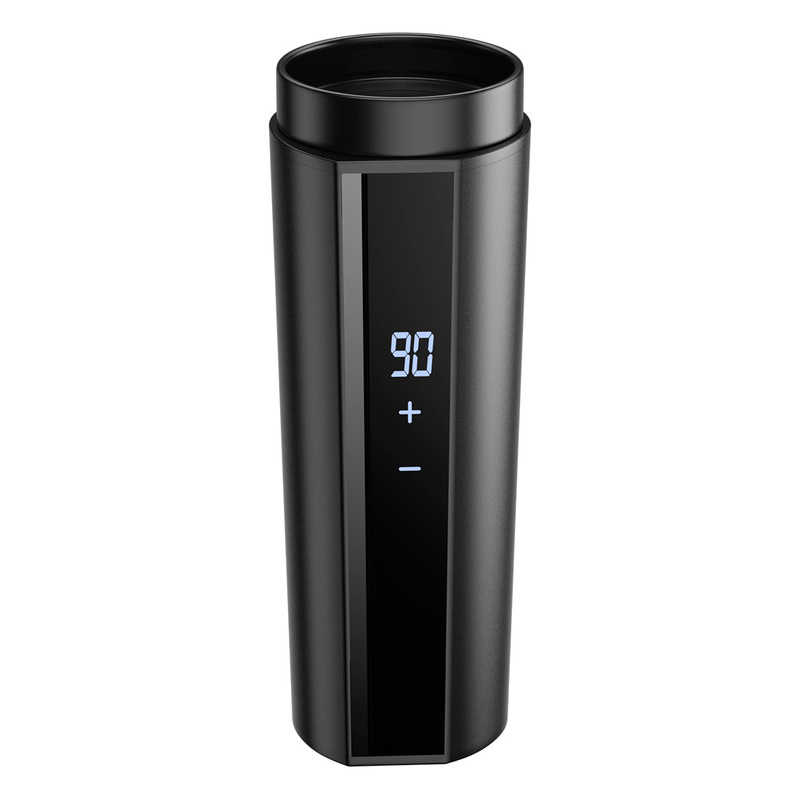Electric Temperature Control Kettle 12V Boiling