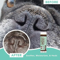 Crème Hydratante Protectrice pour Museau et Pattes de Mini Chiens, Saine et Naturelle, Marque Blanche OEM/ODM, Kits de Soin pour Animaux