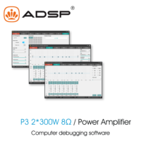 Système de sonorisation professionnel amplificateur de Microphone 3-en-1 multifonction DSP numérique avant scène réverbérateur 2*300W métal pour