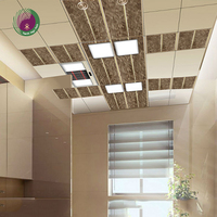 Panneaux de plafond en PVC insonorisés pour salle de réunion intérieure, imperméables, isolés thermiquement, design en PVC