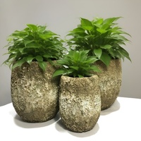 Pot Tanaman Semen Serbaguna Indoor/Outdoor untuk Dekorasi Rumah, Tanaman, Bunga, Penggunaan di Pusat Perbelanjaan, Kapasitas 50-100L, Modern