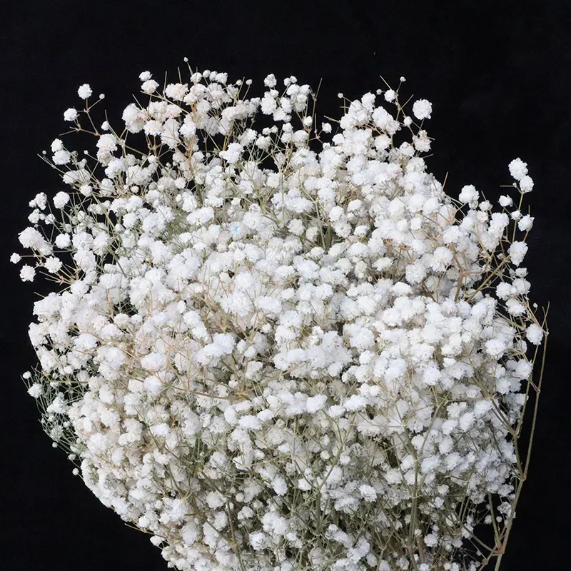 M3-120g Factory wholesale dried flowers preserved natural gypsophila babys breath bouquet for wedding floral flower arrangement