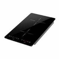 Table de cuisson à induction double invisible 2 brûleurs, commande tactile, surface en verre, 220V, sous comptoir, usage domestique, OEM ODM