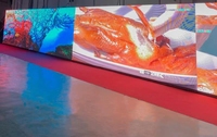 Schermo LED Flessibile per Pubblicità Interna, Video Wall per Ascensori e Negozi al Dettaglio a Prezzo Conveniente