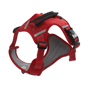 ชุดสายจูงสุนัขแบบเสื้อกั๊ก ลายเรียบหรู วัสดุ PET ระบายอากาศได้ดี สะท้อนแสง สำหรับสุนัขขนาดกลาง พร้อมสายจูงแบบไม่รัดคอ ใช้ได้กับแมว - Product Image 1