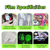 Feuille de transfert DTF phosphorescente FCOLOR pour Halloween, film PET lumineux pour impression à chaud sur T-shirt, sweat-shirt et vêtements
