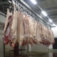 Système de rail de ligne d'abattage de porcs, convoyeur de carcasses pour l'abattage et le traitement des porcs