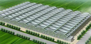 Multi-span Greenhouses Plastic Film Greenhouse For Vegetable