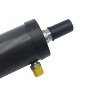 51704901650 Nouvel ensemble de vérin d'inclinaison 229 mm pour chariot élévateur Linde 335-03 E16 E20-03 Pièces de rechange Chine