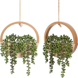 2 plantes succulentes artificielles en bois avec perles de <span class=keywords><strong>ficelle</strong></span>, <span class=keywords><strong>pot</strong></span> et cordon - Product Image 1