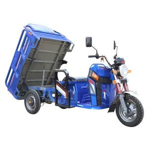 Bertenaga Baterai 48V 1000W Kargo Listrik Roda Tiga