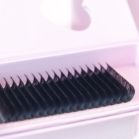 Extensions de Cils Cachemire Méga Volume 0.03 05 07 en Barquette Marque Privée 8-25mm Vente en Gros Cils Cachemire Mat Foncés