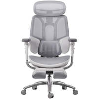 AJUNION Chaise d'ordinateur en maille à dossier haut avec coussin haute densité Chaise de bureau élégante Chaise de bureau ergonomique pour les paramètres de bureau