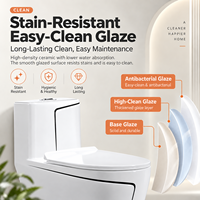 Ensemble WC moderne en céramique grise, cuvette sur colonne à double chasse, structure monobloc, pour salle de bain