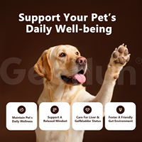 Complément alimentaire pour animaux de compagnie OEM ODM avec colostrum, oméga-3, soutien digestif, renforcement immunitaire, probiotique pour chien sous forme de bouchées molles