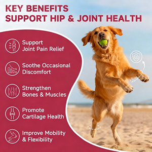 Friandises pour soulager la douleur articulaire chez le chien - Glucosamine, chondroïtine, curcuma - Friandises molles pour les hanches et les articulations pour chiens - Product Image 6