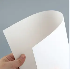 Haute qualité 250 gsm FBB matière première papier fbb papier carton 250gsm fbb papier en vrac élevé