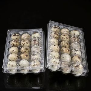 Barquettes à œufs de caille transparentes à 30 alvéoles, vente en gros, prix abordable - Product Image 5