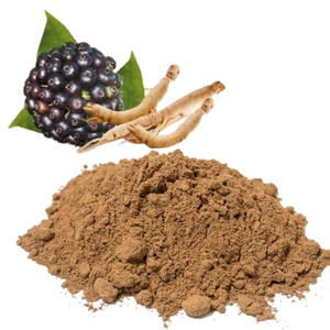 Großhandel Ele uthero Wurzel extrakt 10:1 20:1 Sibirisches Ginseng wurzel extrakt pulver Massen preis Sibirisches Ginseng extrakt pulver - Product Image 3