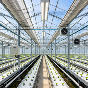 Serre en verre haute résistance au vent avec colonnes en aluminium robustes et panneaux en verre trempé pour usage agricole côtier - Product Image 4