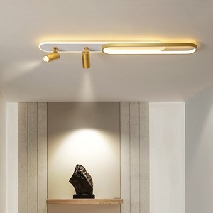 Lampu sorot <span class=keywords><strong>LED</strong></span> akrilik besi, lampu plafon untuk ruang tamu, lampu jalur terpasang permukaan, lampu komersial - Product Image 1