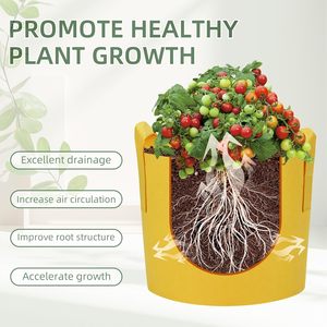 Sacs <span class=keywords><strong>de</strong></span> culture en feutre multicolores avec poignées, respirants et durables, écologiques, pour jardin intérieur et extérieur, capacité <span class=keywords><strong>de</strong></span> 10 gallons - Product Image 4