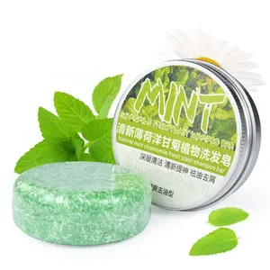 Toptan özel saç katı özel etiket Vegan doğal organik şampuan Bar nane sabunu