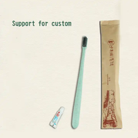 Ensemble brosse à dents et dentifrice de voyage Brosse à dents à usage unique avec pâte personnalisée