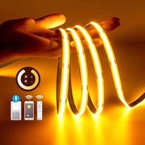 Indoor PVC LED <b>Light</b> Strip Home Decor Party Lighting 5m Low-Voltage Dual Color Temperature LED <b>Light</b> Strip - Product Image 5