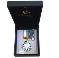 Modulo Audio Registrabile USB con Sensore di Luce per Scatole Regalo/Cartoline d'Auguri, Chip Sonoro Personalizzabile, MP3 Programmabile USB con Sensore Luminoso