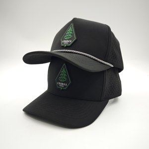 Exquisite 5 Panel Solid Waterproof Golf Cap Custom Silicone Logo Low MOQ OEM Laser Perforated Bespoke Private Label Headwear - Product Image 2