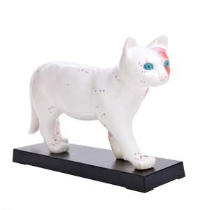 نموذج الوخز بالإبر القط KyrenMed القط ، نقاط ضغط الحيوانات البيطرية ، نموذج نقطة الوخز بالإبر للقطط ، الكي للحيوانات الأليفة - Product Image 2