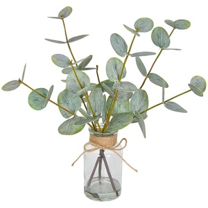 LO-793 OEM ODM Ramas <span class=keywords><strong>de</strong></span> Eucalipto Artificiales Personalizadas con Florero <span class=keywords><strong>de</strong></span> Vidrio para Decoración <span class=keywords><strong>de</strong></span> Escritorio - Product Image 6