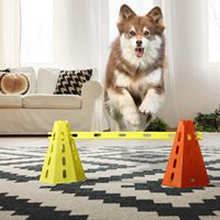 Équipement d'agility pour chiens en plastique : Barres de saut, cônes, seaux, poteaux de marquage, combinaison d'obstacles d'entraînement