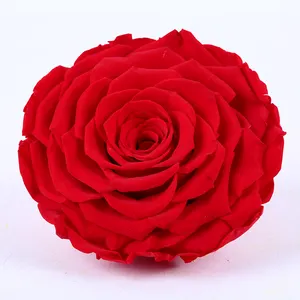 Yunnan Culinan factory wholesale 11-12cm freeze dried roses supplier dry preserved roses