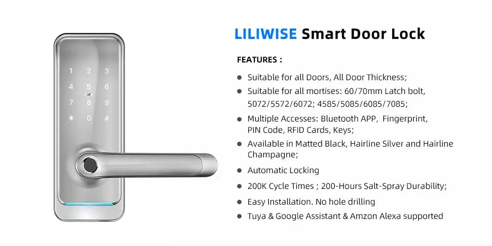 Liliwise Home Electronics Wifi portátil Cerradura Rfid Código de huella digital Tuya Smart Lock