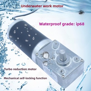<span class=keywords><strong>Moteur</strong></span> DC à engrenages à vis sans fin étanche IP68 12V 24V 80W autobloquant à couple élevé 5840-42, <span class=keywords><strong>moteur</strong></span> submersible pour robotique sous-marine - Product Image 3