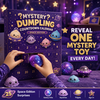 Calendrier de l'Avent Southpeak Toy Mystery Dumpling Édition Spatiale 25 Boîtes Mystères Jouets Squishy Fidget Orb Ball 18x12cm MOQ40 OEM WS